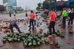 Người dân thành phố Vinh thu gom rồi mua dưa hấu giúp tài xế xe tải gặp tai nạn