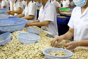 Doanh nghiệp điều kêu cứu vì nguy cơ mất 1.000 tỷ tiền hàng đã xuất