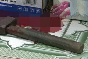 Rúng động, mẹ tâm thần dùng búa sát hại con gái 4 tuổi