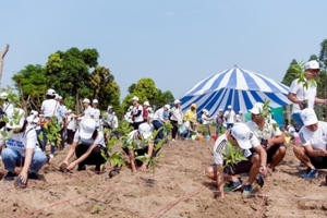 Capital House – Hành trình 15 năm “Kiến tạo cuộc sống xanh” Capital House – Hành trình 15 năm “Kiến tạo cuộc sống xanh”