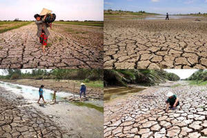 Thủ tướng yêu cầu chủ động ứng phó đợt xâm nhập mặn ở Đồng bằng sông Cửu Long và TP.HCM