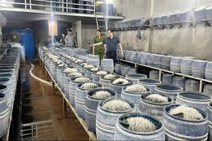 Gần 350 tấn giá đỗ tẩm hóa chất độc hại bị phát hiện tại Lào Cai