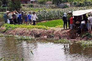 Theo mẹ và bà đi gặt lúa, hai cháu nhỏ ngã xuống ao đuối nước tử vong
