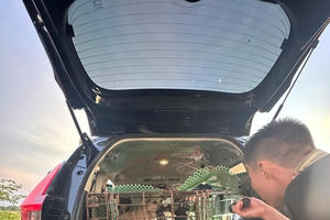 Triệt phá nhóm đối tượng dùng ô tô trộm chó tại Hà Tĩnh Triệt phá nhóm đối tượng dùng ô tô trộm chó tại Hà Tĩnh