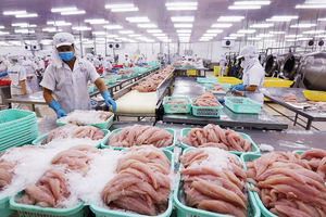 Kim ngạch xuất khẩu cá tra Việt Nam vượt mốc 1,8 tỷ USD