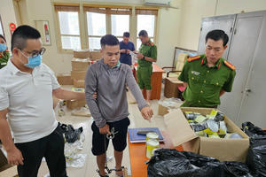 Triệt phá đường dây vận chuyển hơn 170kg thuốc lắc từ Đức về Việt Nam