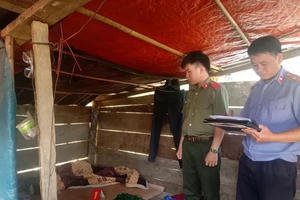 Bắc Kạn: Điều tra nguyên nhân người phụ nữ trẻ tử vong trong lán