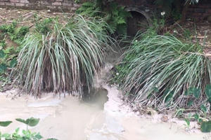 Bỏ ruộng vì trạm trộn bê tông xả thải ô nhiễm ở huyện Nam Sách