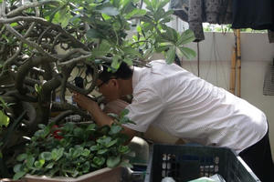 Hà Nội: Tuần qua, số ca mắc sốt xuất huyết tăng gấp đôi