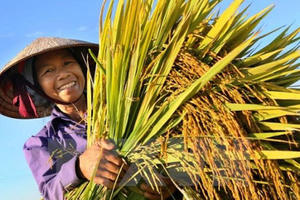 Năm vượt thử thách của ngành nông nghiệp