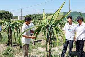 Đồng Nai vận động nông dân liên kết sản xuất sạch