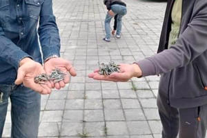 Thực hư sự việc "đinh tặc" xuất hiện tại chùa Tam Chúc