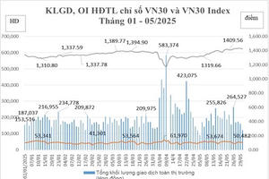 Tháng 5/2025, giao dịch trên thị trường chứng khoán phái sinh giảm mạnh
