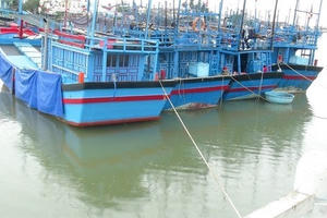 Nam Định cấm biển, khẩn trương kêu gọi tàu thuyền tránh bão