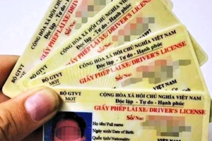 Những trường hợp bị thu hồi Giấy phép lái xe bắt đầu từ ngày 1/6