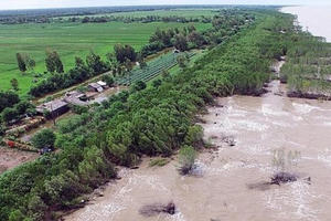 Dự thảo chiến lược quốc gia về biến đổi khí hậu: Quyết tâm mạnh mẽ của Việt Nam