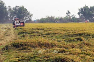 Chuyển mục đích sử dụng đất tại tỉnh Vĩnh Long và tỉnh Kiên Giang