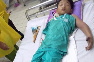 Ra đồng bắt cua cùng bố, bé trai 11 tuổi bị rắn hổ mang cắn nguy kịch