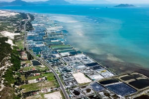 Bà Rịa-Vũng Tàu: Yêu cầu dừng ngay việc phân lô, bán đất nền trên ruộng muối