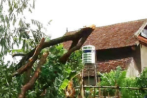 Huyện miền núi Nghệ An bị tàn phá nặng nề sau trận lốc xoáy, mưa đá