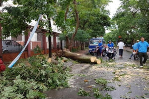 Bão số 2 đi sâu vào đất liền, suy yếu dần thành vùng thấp