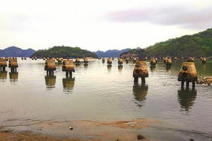 Dự án khu neo đậu tránh, trú bão cho tàu cá Cát Bà "đắp chiếu" và đội vốn 184 tỷ đồng