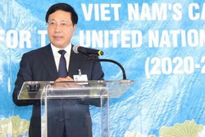 Trúng cử, Việt Nam sẽ hoàn thành trọng trách của một thành viên HĐBA LHQ Trúng cử, Việt Nam sẽ hoàn thành trọng trách của một thành viên HĐBA LHQ