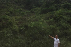 Đồng Nai: Khuất tất trong vụ cấp sổ đỏ, một hộ dân kêu cứu