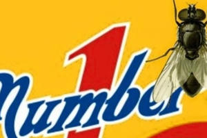 Đại án con ruồi và nỗi lo... voi chết