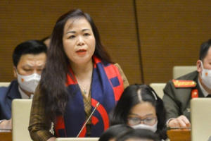 Cần cân nhắc, thận trọng khi Trung Nam Group xây dựng truyền tải điện ở Bình Thuận