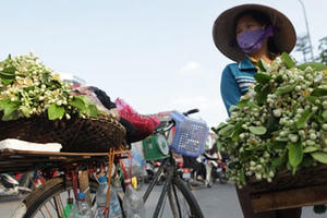 Dự báo thời tiết ngày 1/3: Hà Nội có sương mù, miền Nam nắng nóng