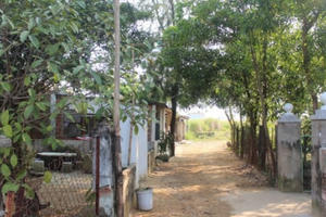 TP Đà Nẵng: Khu dân phố “4 không”