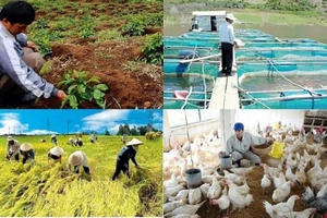 Quy chế tổ chức và hoạt động của Ban Chỉ đạo quốc gia về kinh tế tập thể