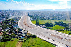 3 nhà thầu cạnh tranh tại gói cây xanh hơn 66 tỷ đồng tại Nghệ An