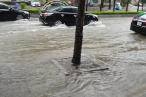 Thanh Hóa:  Mưa lớn, nhiều nhà dân bị ngập lụt