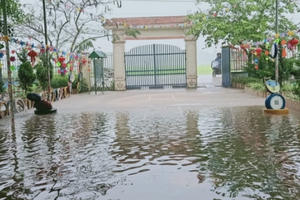 Nghệ An: Mưa lớn bất ngờ, nhiều đường và trường học bị ngập cục bộ