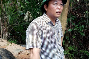 Rừng phòng hộ liên tiếp bị hạ sát: Dứt khoát xử lý cán bộ dù đau đớn! Rừng phòng hộ liên tiếp bị hạ sát: Dứt khoát xử lý cán bộ dù đau đớn!