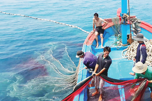 Chấn chỉnh công tác cấp giấy xác nhận nguyên liệu thủy sản khai thác Chấn chỉnh công tác cấp giấy xác nhận nguyên liệu thủy sản khai thác