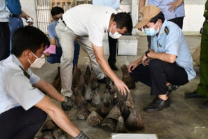 Bắt giữ 138kg sừng tê giác và 3 tấn xương động vật hoang dã