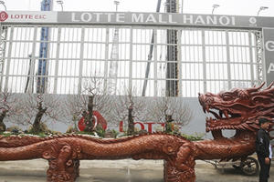 Chậu đào “siêu khủng” cho thuê giá 700 triệu đồng có gì đặc biệt?