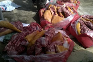 Quảng Nam: Bắt giữ xe khách chở gần nửa tấn thịt thối