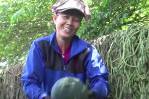 Nông dân Bình Thuận vui mừng vì dưa hấu Tết được giá