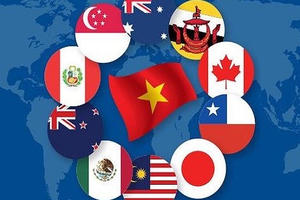 Hôm nay, CPTPP chính thức có hiệu lực với Việt Nam: Đừng nghĩ là “mỏ vàng lộ thiên”! Hôm nay, CPTPP chính thức có hiệu lực với Việt Nam: Đừng nghĩ là “mỏ vàng lộ thiên”!