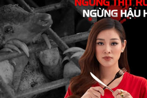 Tết tử tế không thịt thú rừng