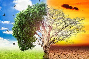 Loài người sẽ tuyệt chủng do biến đổi khí hậu?