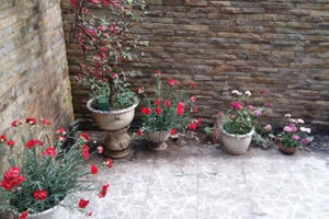 Bán nhà đẹp 3 tầng, sổ đỏ chính chủ ở Cầu Giấy - Hà Nội