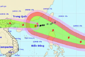 Quảng Ninh: Chủ động phòng chống cơn báo số 5