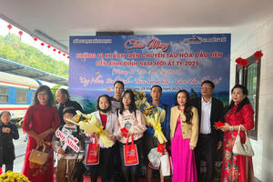 Bình Định đón hơn 400 nghìn lượt khách trong dịp Tết Nguyên đán Ất Tỵ 2025