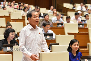 ĐBQH Lê Thanh Vân: Cần làm rõ ai đứng sau hành vi giả người ăn xin ở Hội An ĐBQH Lê Thanh Vân: Cần làm rõ ai đứng sau hành vi giả người ăn xin ở Hội An