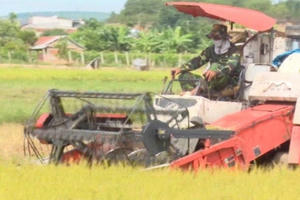 Nỗ lực đưa nông sản Đắk Nông “lên sàn”